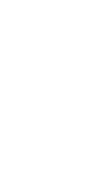 球迷评价 - 世界杯2026